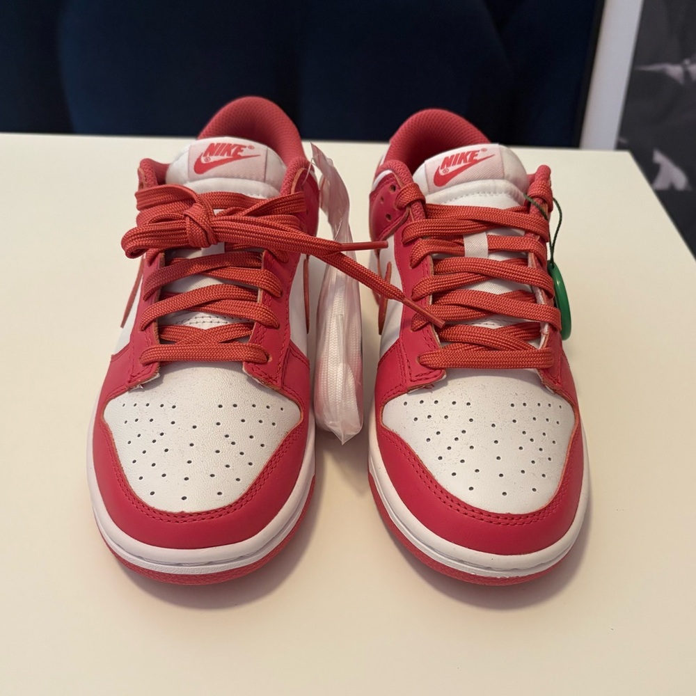Nike Dunks Archeo Pink